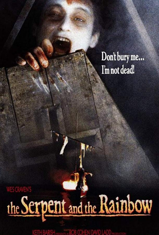 Постер к Змей и радуга (1987)