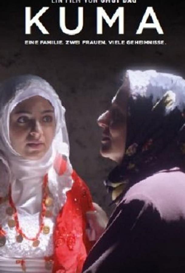 Постер к Вторая жена (2012)