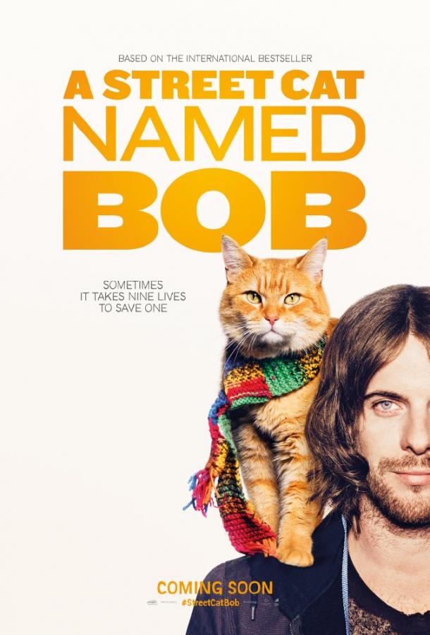 Постер к Уличный кот по кличке Боб (2016)